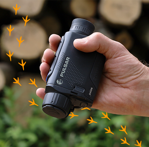 Pocket-sized & Powerful: Why the Axion Compact is a Must Have for Birdwatching